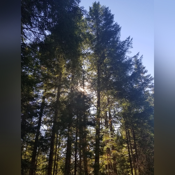 Meet your Posher, Cadence - Picture 12 of 16